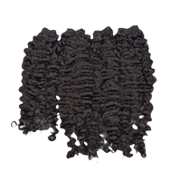 Burmese Curly
